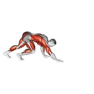 Bear Crawl