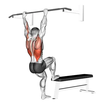 Bench Pull Ups