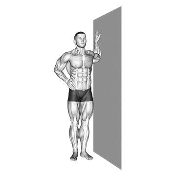 Bent Arm Chest Stretch - Exclusive get you ultimate Flexibility for Pectoralis from X health blend   Animated Exercise  Library