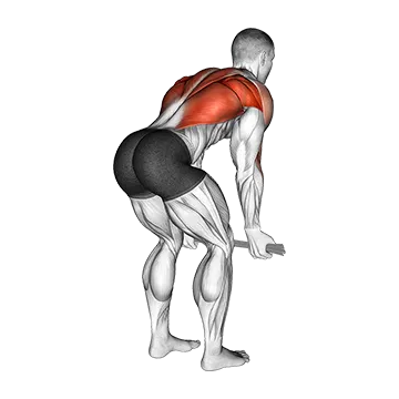 Bent Over Row with Towel - Exclusive get you ultimate Strength for Rhomboids from X health blend   Animated Exercise  Library