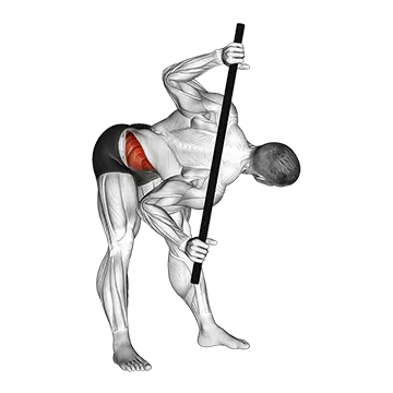 Bent Over Twist - Exclusive get you ultimate Flexibility for Obliques from X health blend   Animated Exercise  Library