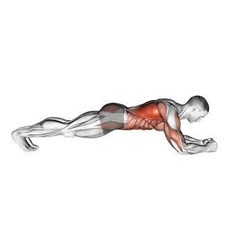 Body Saw Plank