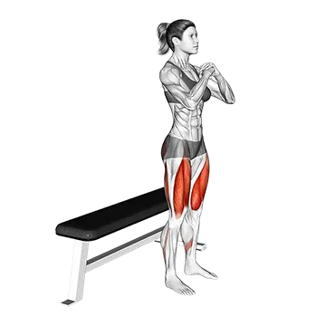 Bodyweight Bench Squat