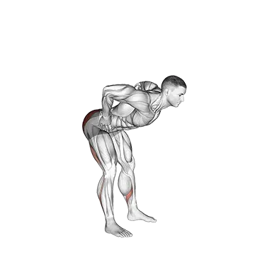 Bodyweight Good Morning - Exclusive get you ultimate Strength for Hamstrings from X health blend   Animated Exercise  Library