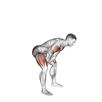 Bodyweight Swing