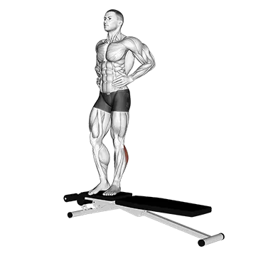 Box Jump Down with 1 Leg Stabilization - Exclusive get you ultimate Strength for Quadriceps from X health blend   Animated Exercise  Library