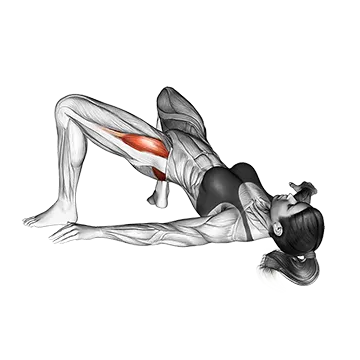 Bridge Hip Abduction - Exclusive get you ultimate Strength for Glutes from X health blend   Animated Exercise  Library
