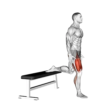 Bulgarian Jump Squat - Exclusive get you ultimate Strength for Quadriceps from X health blend   Animated Exercise  Library