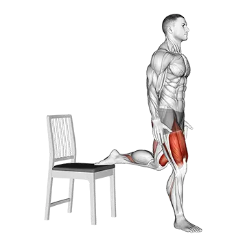 Bulgarian Split Squat with Chair - Exclusive get you ultimate Strength for Quadriceps from X health blend   Animated Exercise  Library