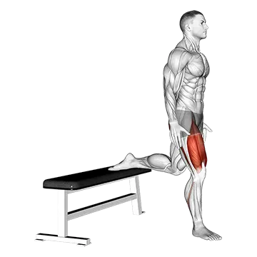 Bulgarian Split Squat