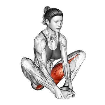 Butterfly Yoga Pose - Exclusive get you ultimate Stretching for Adductors from X health blend   Animated Exercise  Library