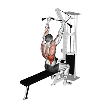 Cable Bar Lateral Pulldown - Exclusive get you ultimate Strength for Latissimus Dorsi from X health blend   Animated Exercise  Library