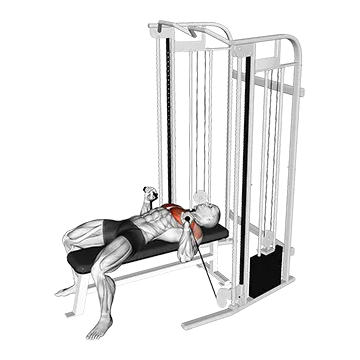 Cable Bench Press
