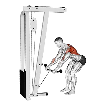 Cable Bent Over Row