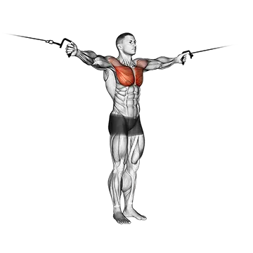 Cable Crossover Variation