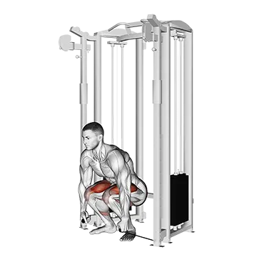 Cable Deadlift