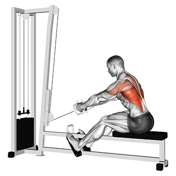 Cable Elevated Row