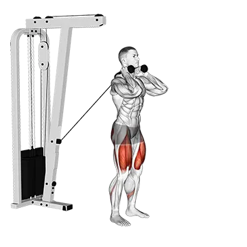 Cable Forward Lunge - Exclusive get you ultimate Strength for Quadriceps from X health blend   Animated Exercise  Library