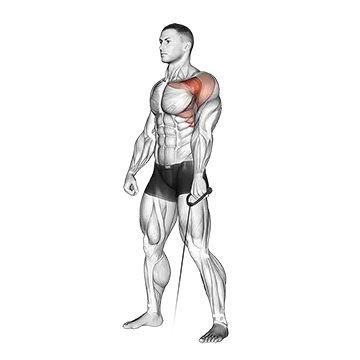 Cable Forward Raise - Exclusive get you ultimate Strength for Deltoids from X health blend   Animated Exercise  Library