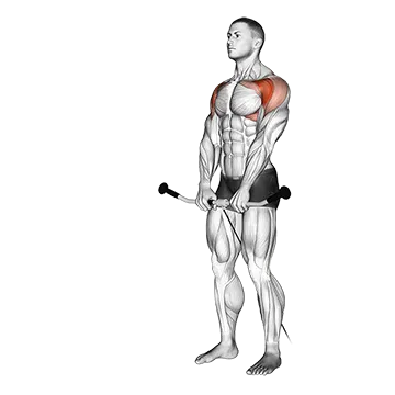 Cable Front Raise