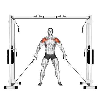 Cable Front Shoulder Raise - Exclusive get you ultimate Strength for Deltoids from X health blend   Animated Exercise  Library