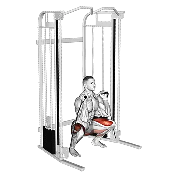 Cable Front Squat
