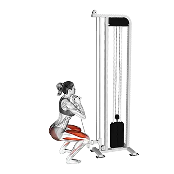 Cable Goblet Squat