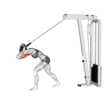 Cable High Pulley Overhead Tricep Extension - Exclusive get you ultimate Strength for Triceps from X health blend   Animated Exercise  Library