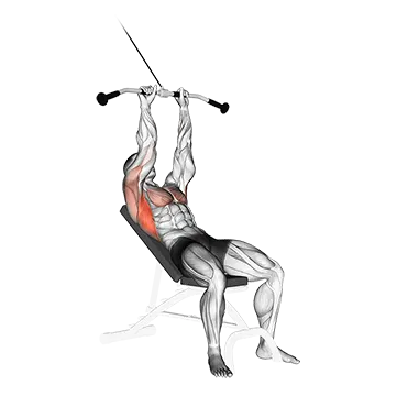 Cable Incline Pushdown - Exclusive get you ultimate Strength for Triceps Brachii from X health blend   Animated Exercise  Library