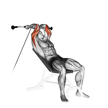 Cable Incline Triceps Extension - Exclusive get you ultimate Strength for Triceps Brachii from X health blend   Animated Exercise  Library