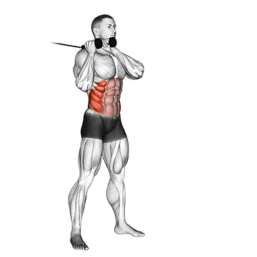 Cable Judo Flip - Exclusive get you ultimate Strength for Latissimus Dorsi from X health blend   Animated Exercise  Library