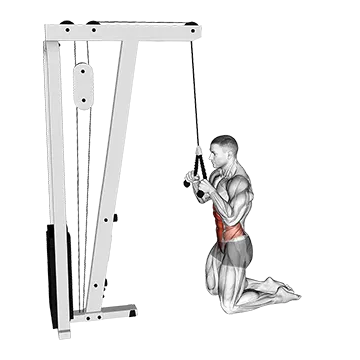 Cable Kneeling Crunch - Exclusive get you ultimate Strength for Rectus Abdominis from X health blend   Animated Exercise  Library