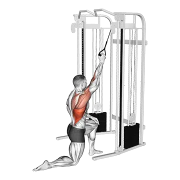 Cable Kneeling One Arm Lat Pulldown - Exclusive get you ultimate Strength for Latissimus Dorsi from X health blend   Animated Exercise  Library