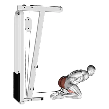 Cable Kneeling Pull Through
