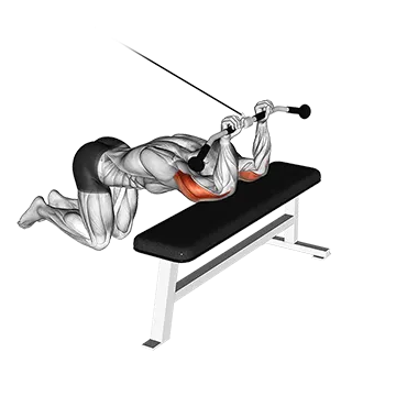 Cable Kneeling Triceps Extension - Exclusive get you ultimate Strength for Triceps Brachii from X health blend   Animated Exercise  Library