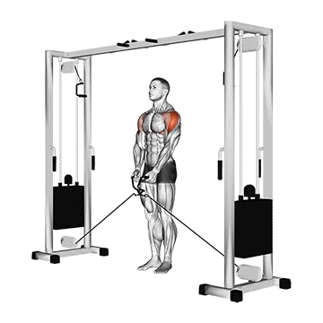 Cable Lateral Raise