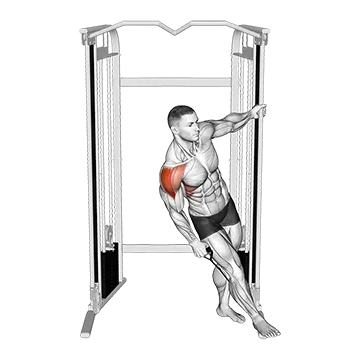 Cable Leaning Lateral Raise - Exclusive get you ultimate Strength for Deltoids (Lateral) from X health blend   Animated Exercise  Library
