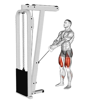 Cable Lunge