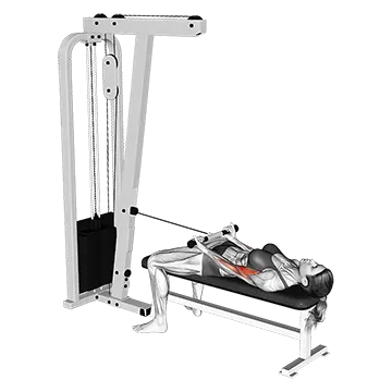 Cable Lying Bicep Curl