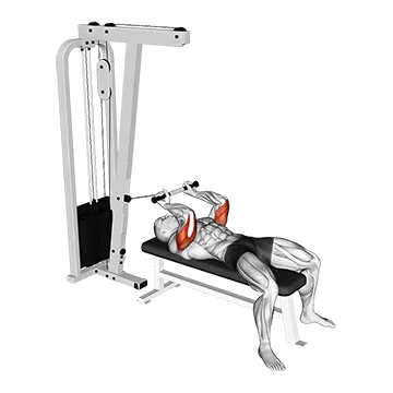 Cable Lying Triceps Extension