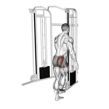 Cable Medius Kickback