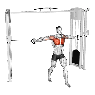 Cable Middle Fly
