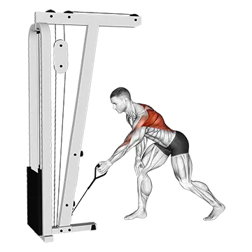 Cable One Arm Bent Over Row