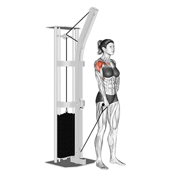 Cable One Arm Front Raise