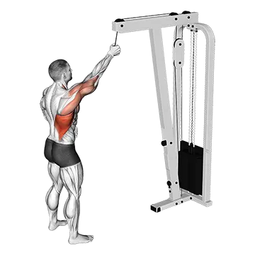 Cable One Arm Pulldown