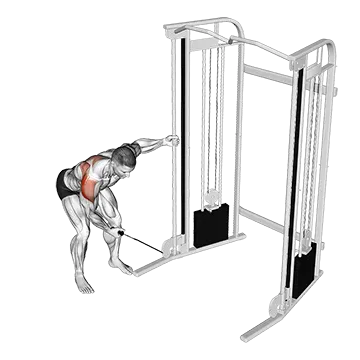 Cable One Arm Reverse Fly