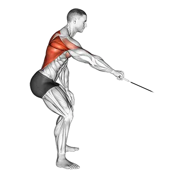 Cable Palm Rotational Row