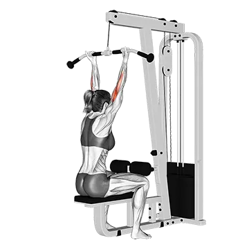 Cable Pulldown Bicep Curl