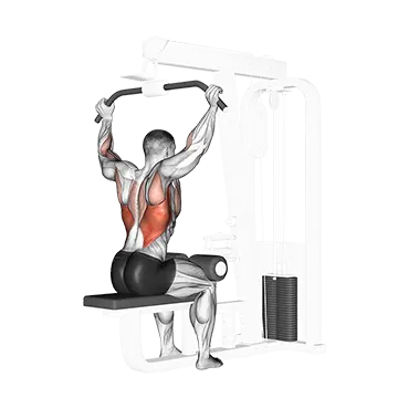 Cable Rear Pulldown - Exclusive get you ultimate Strength for Latissimus Dorsi from X health blend   Animated Exercise  Library