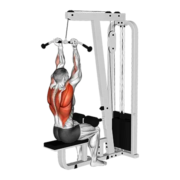 Cable Reverse Grip Pulldown